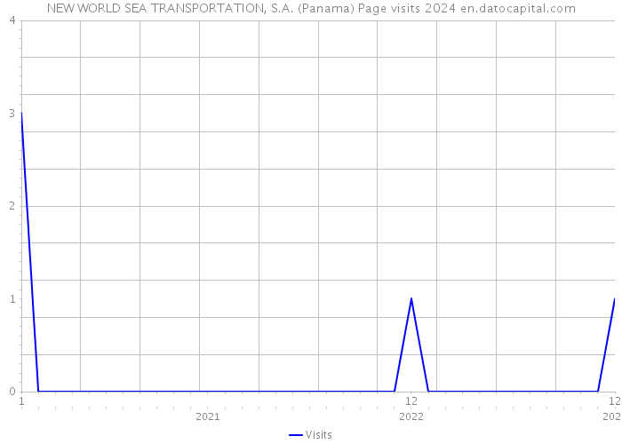 NEW WORLD SEA TRANSPORTATION, S.A. (Panama) Page visits 2024 