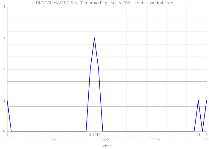 DIGITAL MAC PC S.A. (Panama) Page visits 2024 
