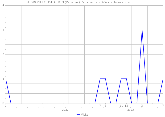NEGRONI FOUNDATION (Panama) Page visits 2024 