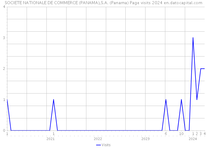 SOCIETE NATIONALE DE COMMERCE (PANAMA),S.A. (Panama) Page visits 2024 