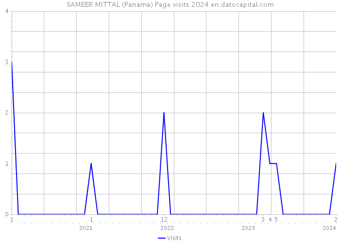 SAMEER MITTAL (Panama) Page visits 2024 