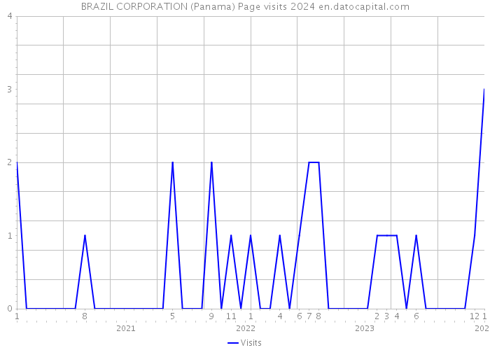 BRAZIL CORPORATION (Panama) Page visits 2024 