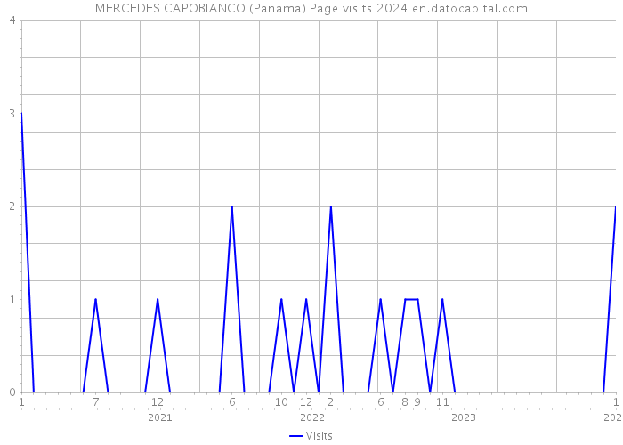 MERCEDES CAPOBIANCO (Panama) Page visits 2024 