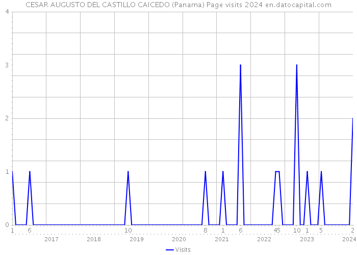 CESAR AUGUSTO DEL CASTILLO CAICEDO (Panama) Page visits 2024 