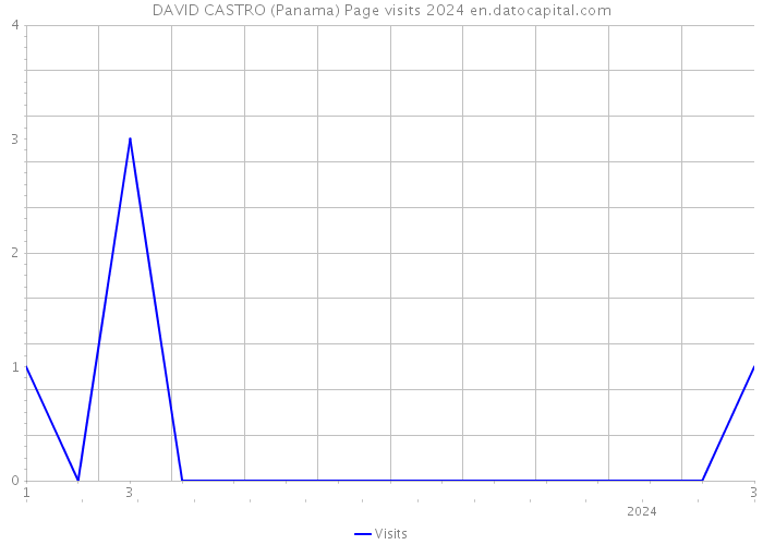 DAVID CASTRO (Panama) Page visits 2024 