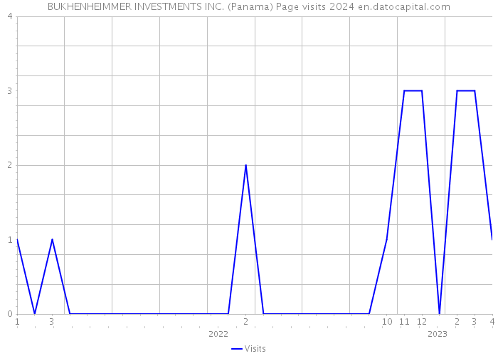 BUKHENHEIMMER INVESTMENTS INC. (Panama) Page visits 2024 