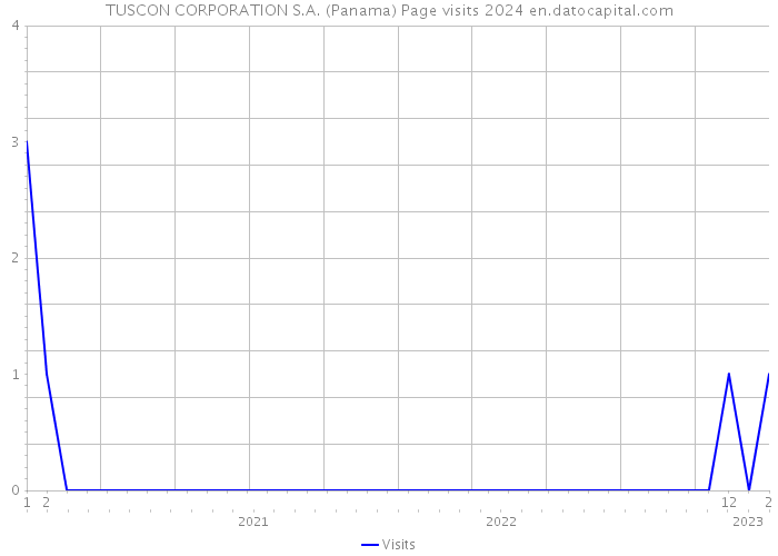 TUSCON CORPORATION S.A. (Panama) Page visits 2024 