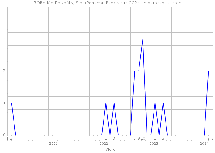 RORAIMA PANAMA, S.A. (Panama) Page visits 2024 