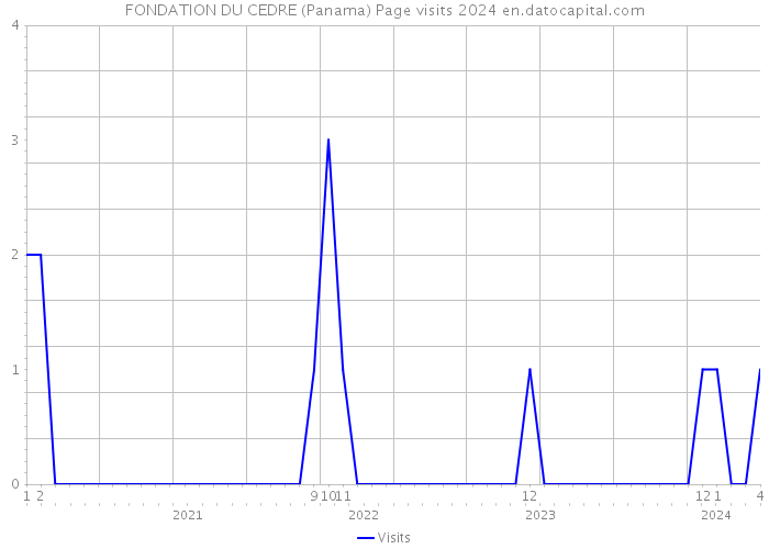 FONDATION DU CEDRE (Panama) Page visits 2024 