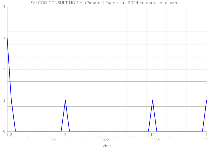 FALCON CONSULTING S.A. (Panama) Page visits 2024 