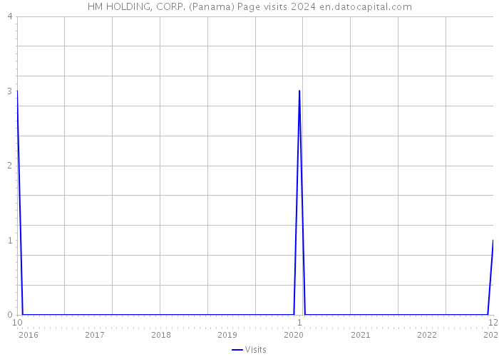 HM HOLDING, CORP. (Panama) Page visits 2024 