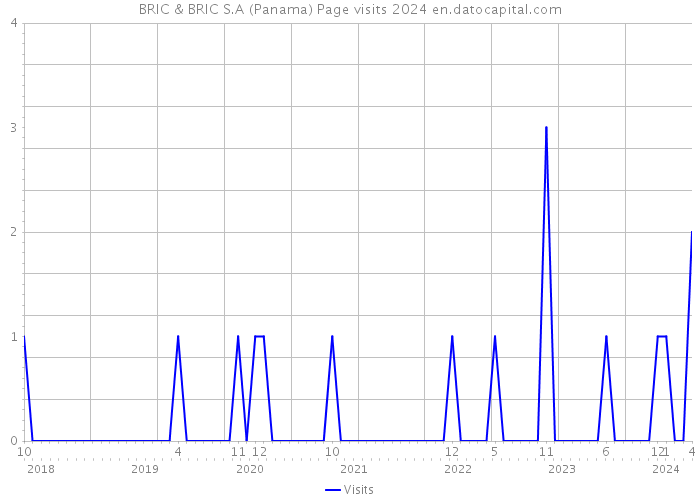 BRIC & BRIC S.A (Panama) Page visits 2024 