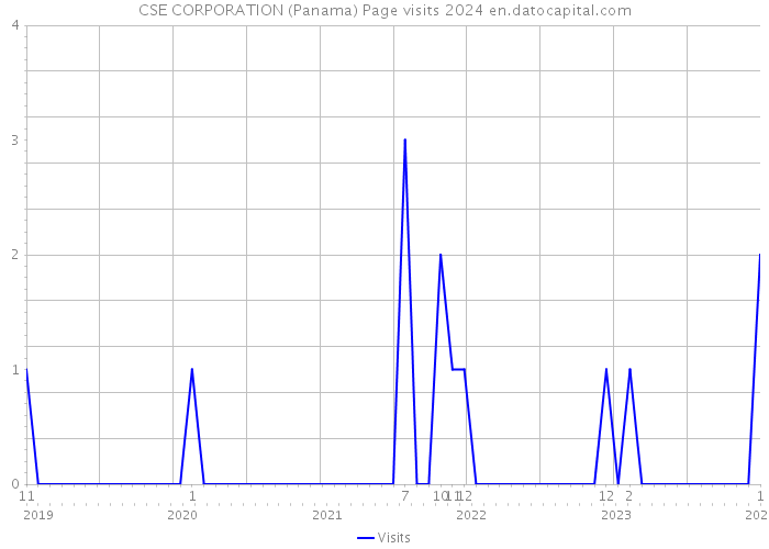CSE CORPORATION (Panama) Page visits 2024 