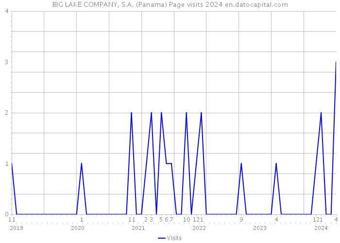 BIG LAKE COMPANY, S.A. (Panama) Page visits 2024 