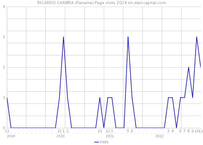 RICARDO CAMBRA (Panama) Page visits 2024 