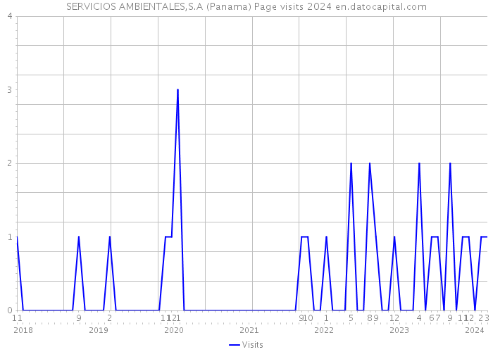 SERVICIOS AMBIENTALES,S.A (Panama) Page visits 2024 