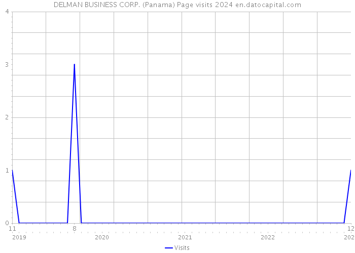 DELMAN BUSINESS CORP. (Panama) Page visits 2024 