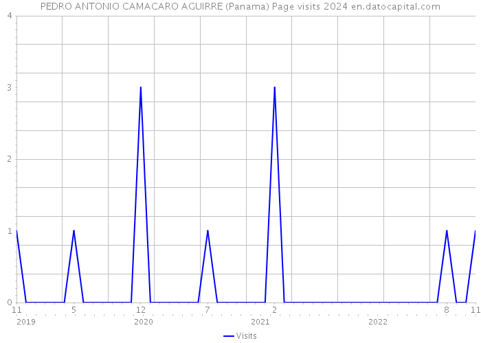 PEDRO ANTONIO CAMACARO AGUIRRE (Panama) Page visits 2024 