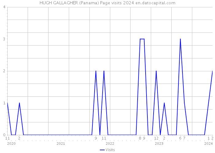 HUGH GALLAGHER (Panama) Page visits 2024 