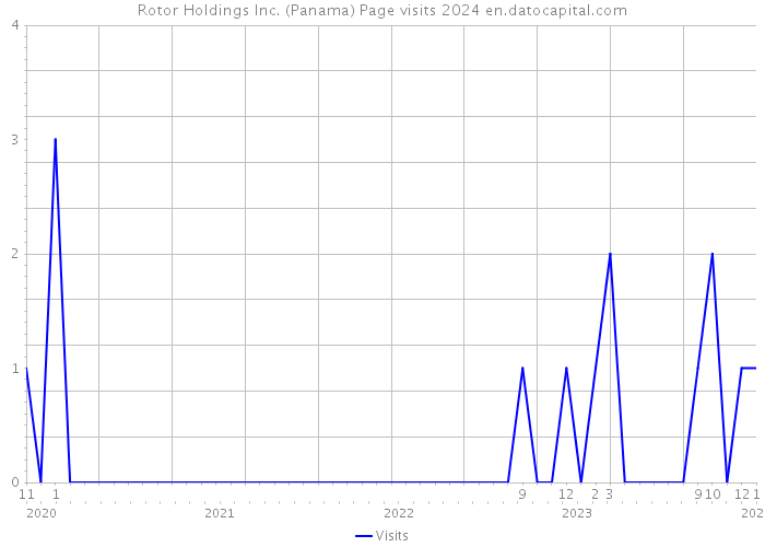 Rotor Holdings Inc. (Panama) Page visits 2024 