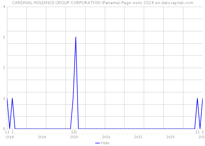 CARDINAL HOLDINGS GROUP CORPORATION (Panama) Page visits 2024 