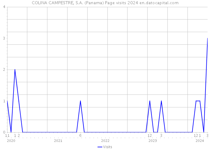 COLINA CAMPESTRE, S.A. (Panama) Page visits 2024 