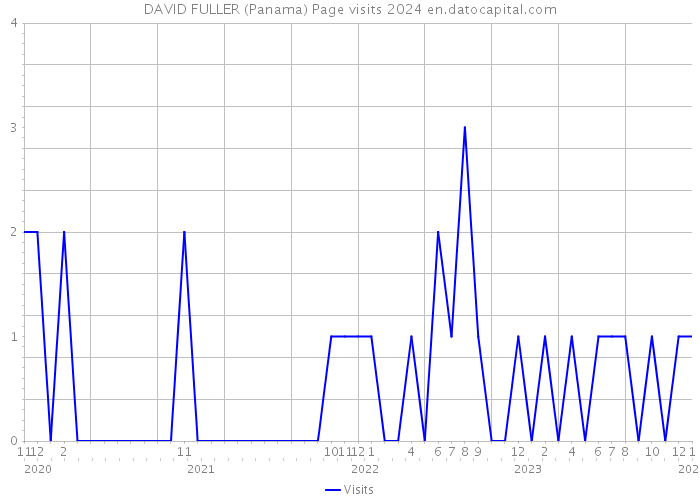 DAVID FULLER (Panama) Page visits 2024 