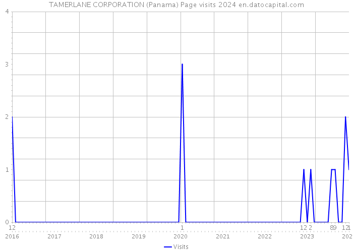 TAMERLANE CORPORATION (Panama) Page visits 2024 