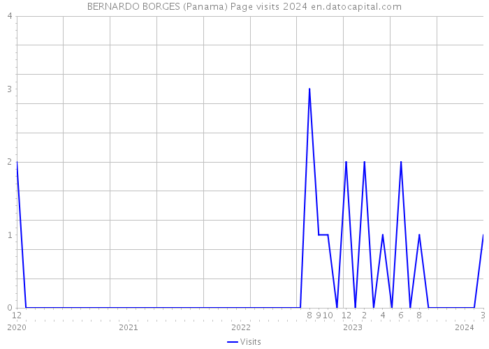 BERNARDO BORGES (Panama) Page visits 2024 