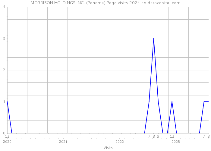 MORRISON HOLDINGS INC. (Panama) Page visits 2024 