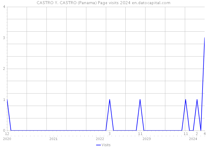 CASTRO Y. CASTRO (Panama) Page visits 2024 