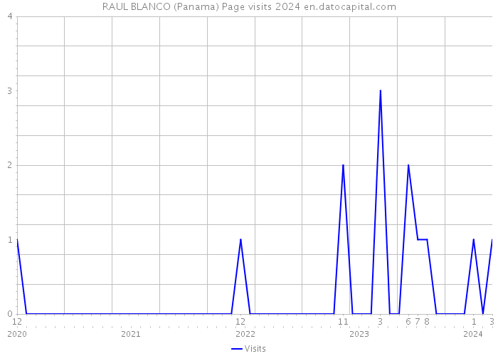 RAUL BLANCO (Panama) Page visits 2024 
