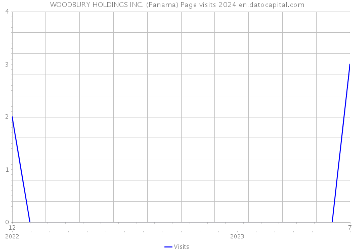 WOODBURY HOLDINGS INC. (Panama) Page visits 2024 