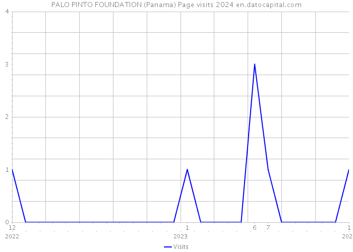 PALO PINTO FOUNDATION (Panama) Page visits 2024 