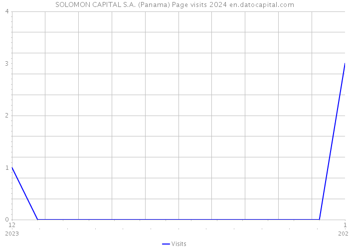 SOLOMON CAPITAL S.A. (Panama) Page visits 2024 