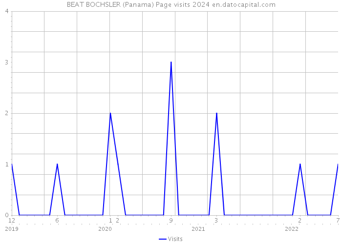 BEAT BOCHSLER (Panama) Page visits 2024 