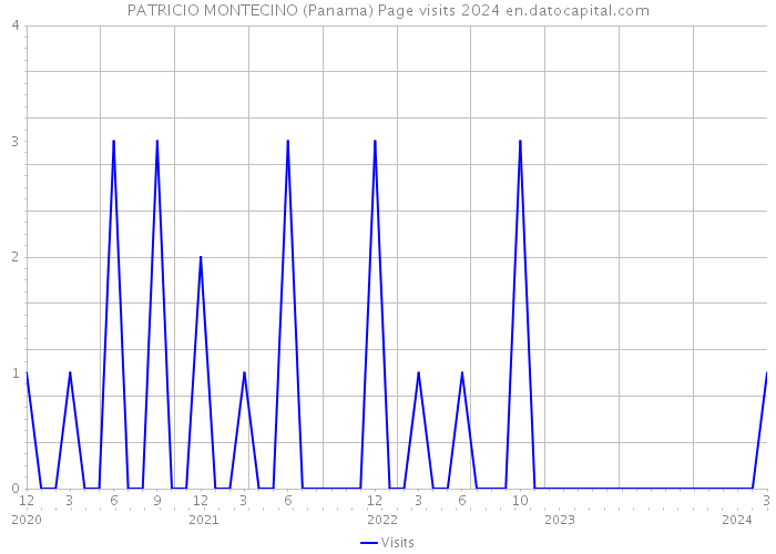 PATRICIO MONTECINO (Panama) Page visits 2024 