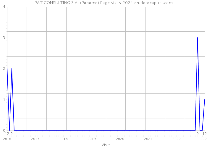 PAT CONSULTING S.A. (Panama) Page visits 2024 