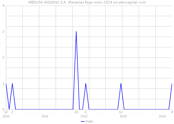MEDUSA HOLDING S.A. (Panama) Page visits 2024 