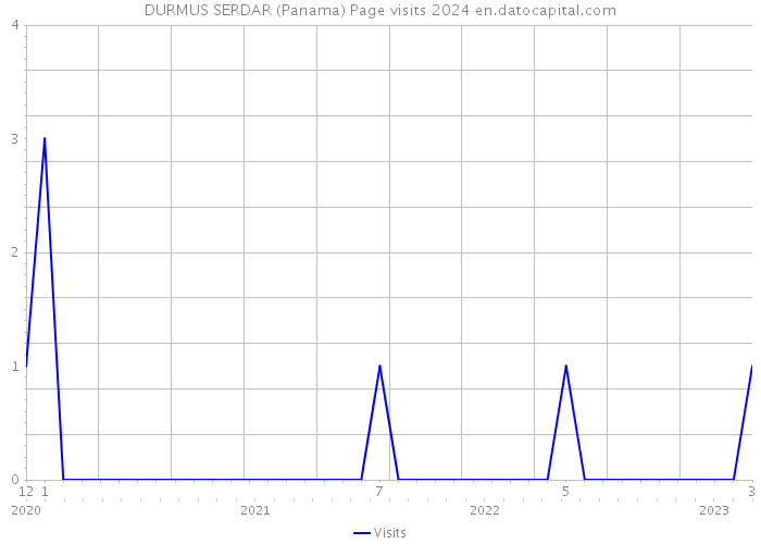 DURMUS SERDAR (Panama) Page visits 2024 