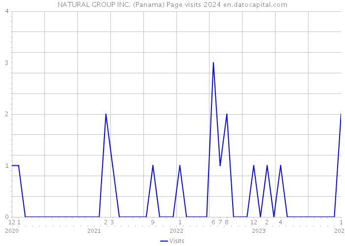 NATURAL GROUP INC. (Panama) Page visits 2024 
