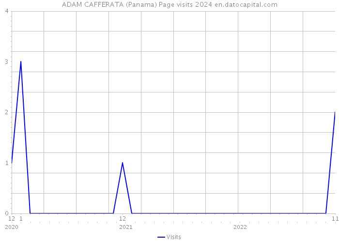 ADAM CAFFERATA (Panama) Page visits 2024 