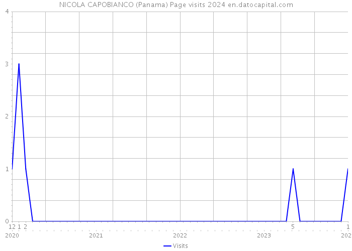 NICOLA CAPOBIANCO (Panama) Page visits 2024 