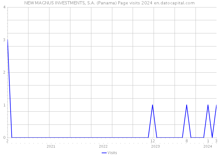 NEW MAGNUS INVESTMENTS, S.A. (Panama) Page visits 2024 