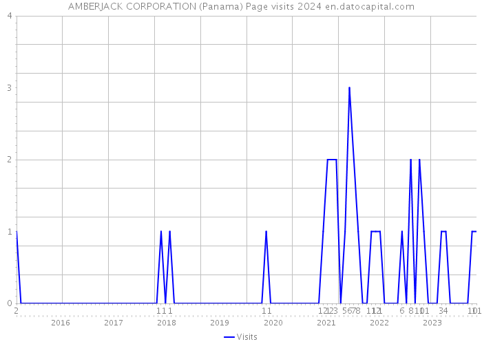 AMBERJACK CORPORATION (Panama) Page visits 2024 