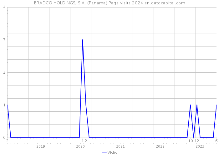 BRADCO HOLDINGS, S.A. (Panama) Page visits 2024 