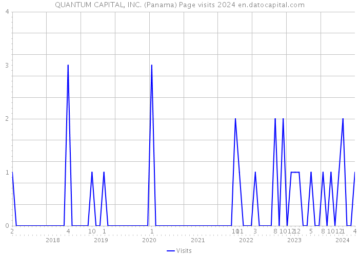 QUANTUM CAPITAL, INC. (Panama) Page visits 2024 