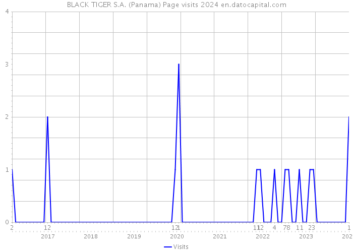 BLACK TIGER S.A. (Panama) Page visits 2024 