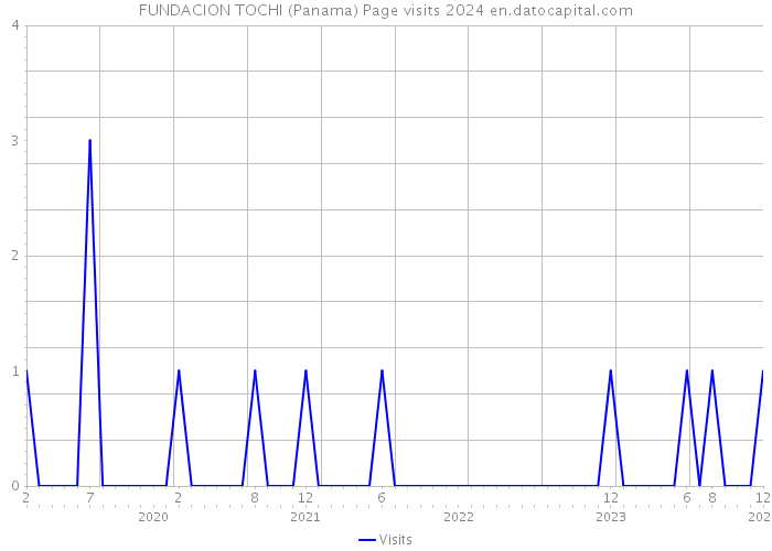 FUNDACION TOCHI (Panama) Page visits 2024 