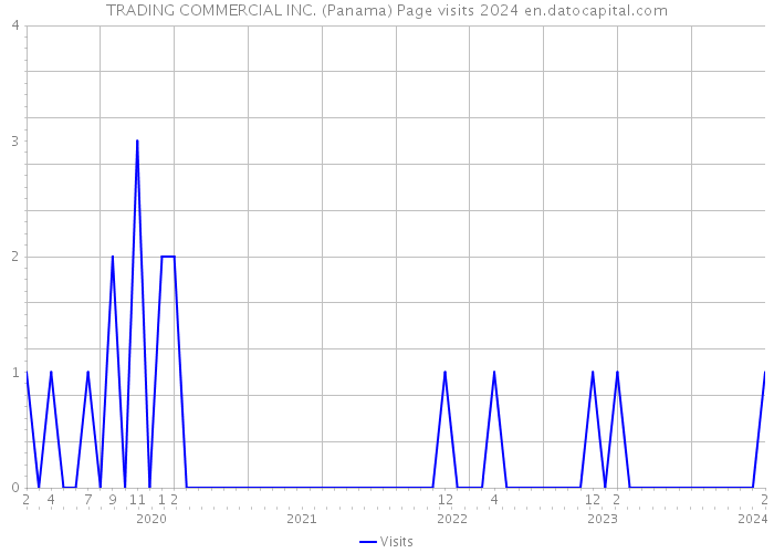 TRADING COMMERCIAL INC. (Panama) Page visits 2024 